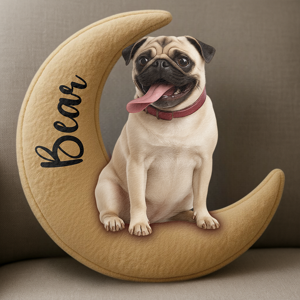Personalized Dog/ Cat Sit On The Moon Ugly Plush Pillow For Dog Lovers Hv01