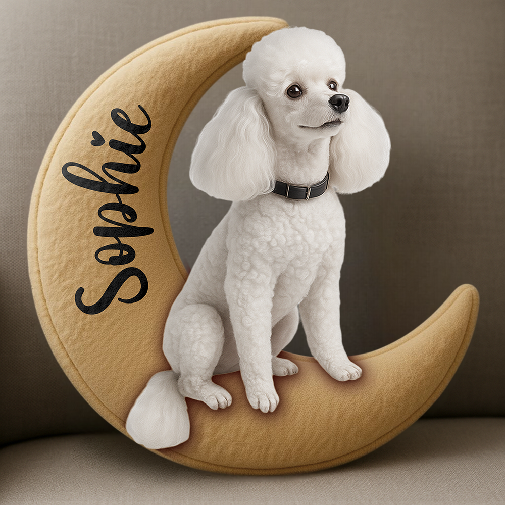 Personalized Dog/ Cat Sit On The Moon Ugly Plush Pillow For Dog Lovers Hv01