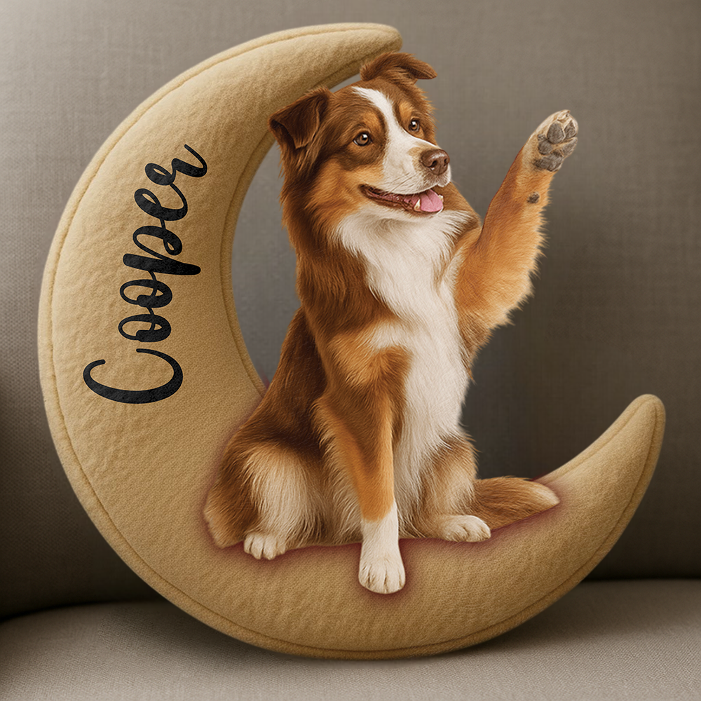 Personalized Dog/ Cat Sit On The Moon Ugly Plush Pillow For Dog Lovers Hv01