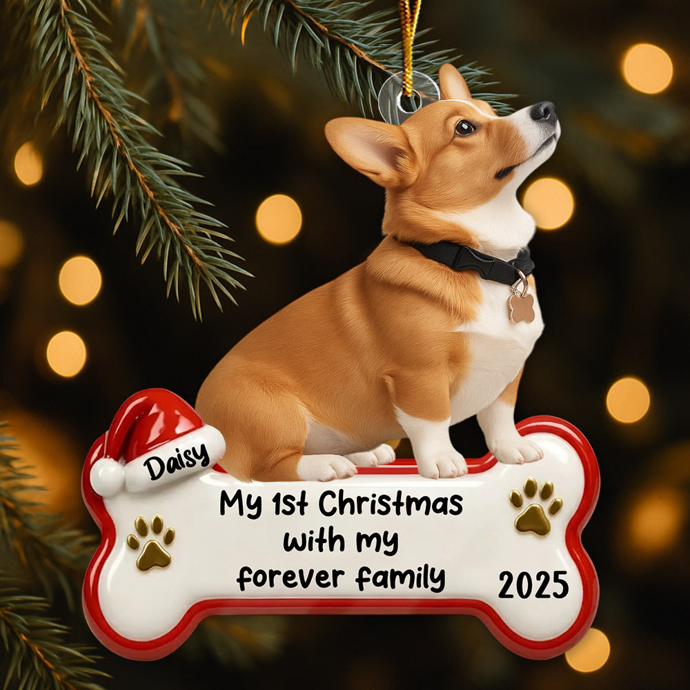 My 1st Christmas With Forever Family, Personalized Acrylic Ornament, Gifts For Dog Lovers T1807 Li29
