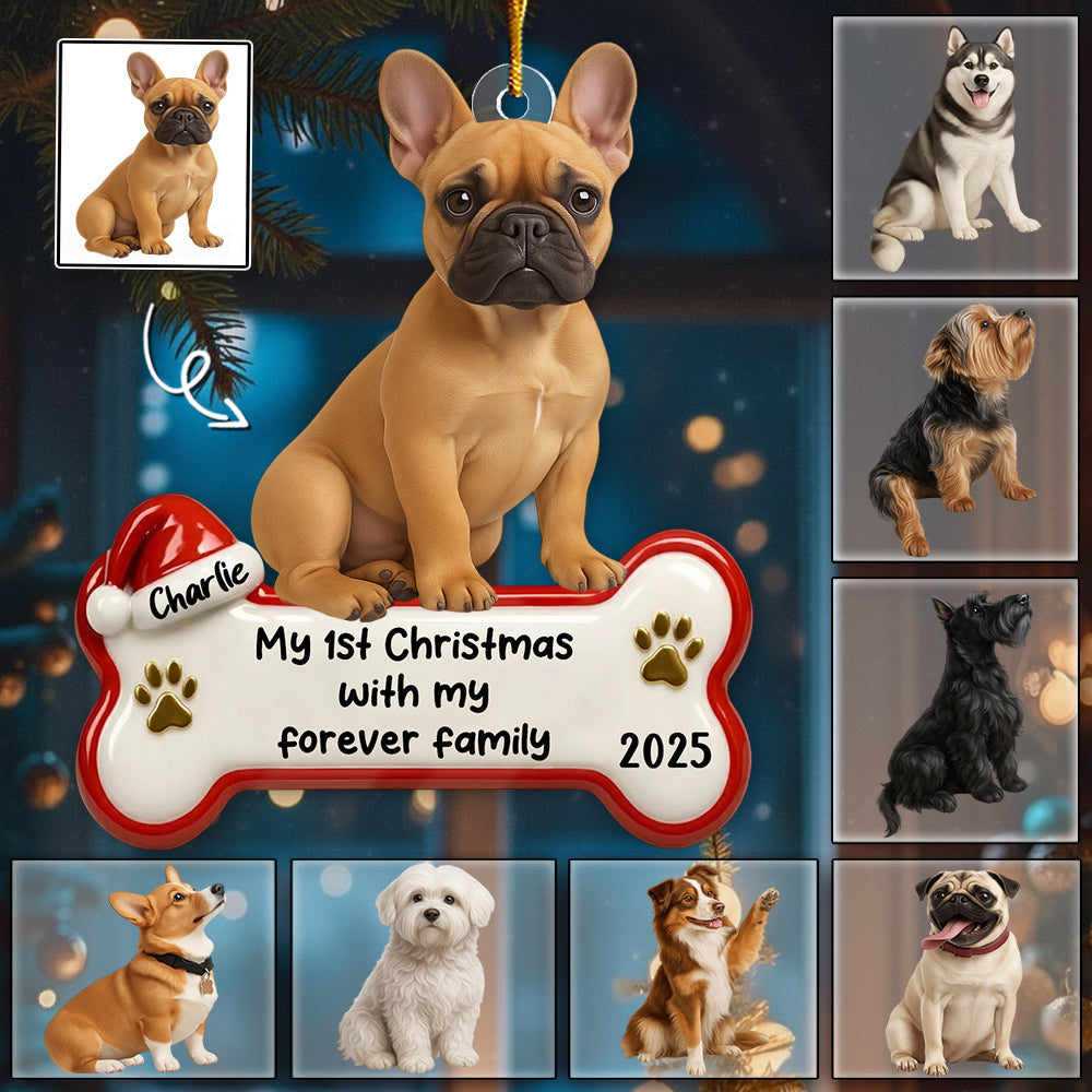 My 1st Christmas With Forever Family, Personalized Acrylic Ornament, Gifts For Dog Lovers T1807 Li29
