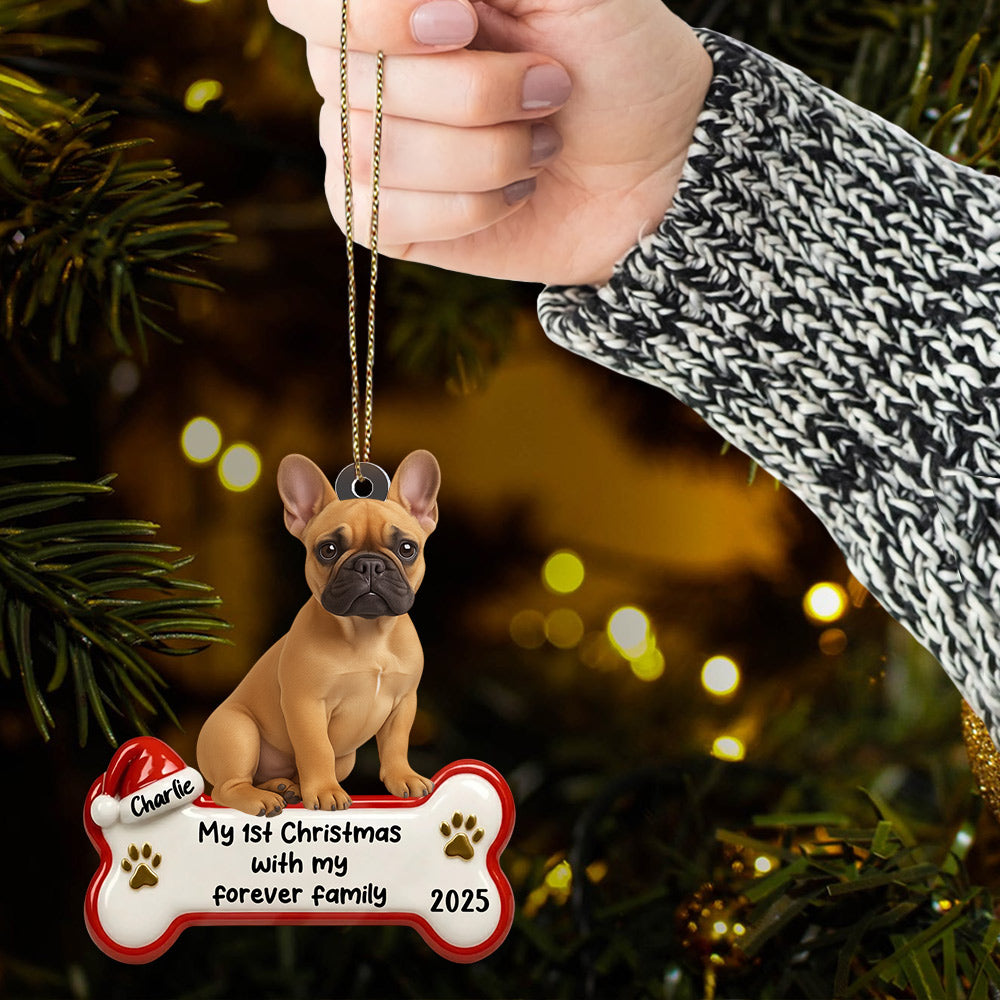My 1st Christmas With Forever Family, Personalized Acrylic Ornament, Gifts For Dog Lovers T1807 Li29