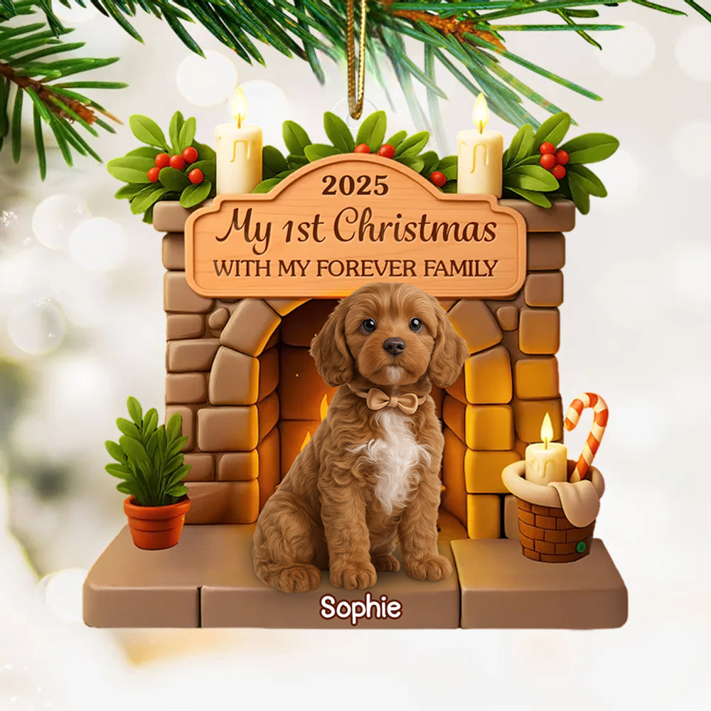 Custom First Christmas Acrylic Ornament - Personalized Christmas Birthday Gifts For Dog Lovers, Dog Dad And Mom - Pawsitively Loved This Christmas Hv01