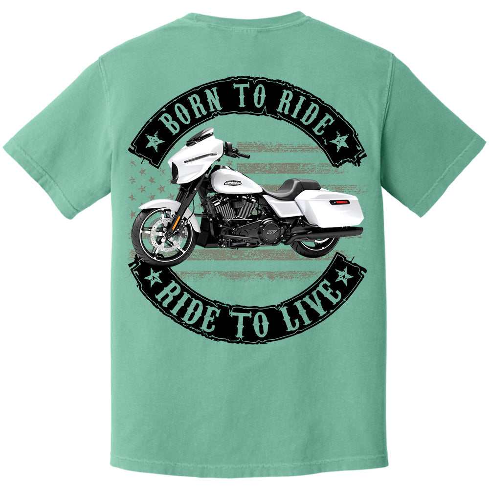 Born To Ride - Ride To Live - Personalized Upload Vehicle Photo For Biker A2110 VH01