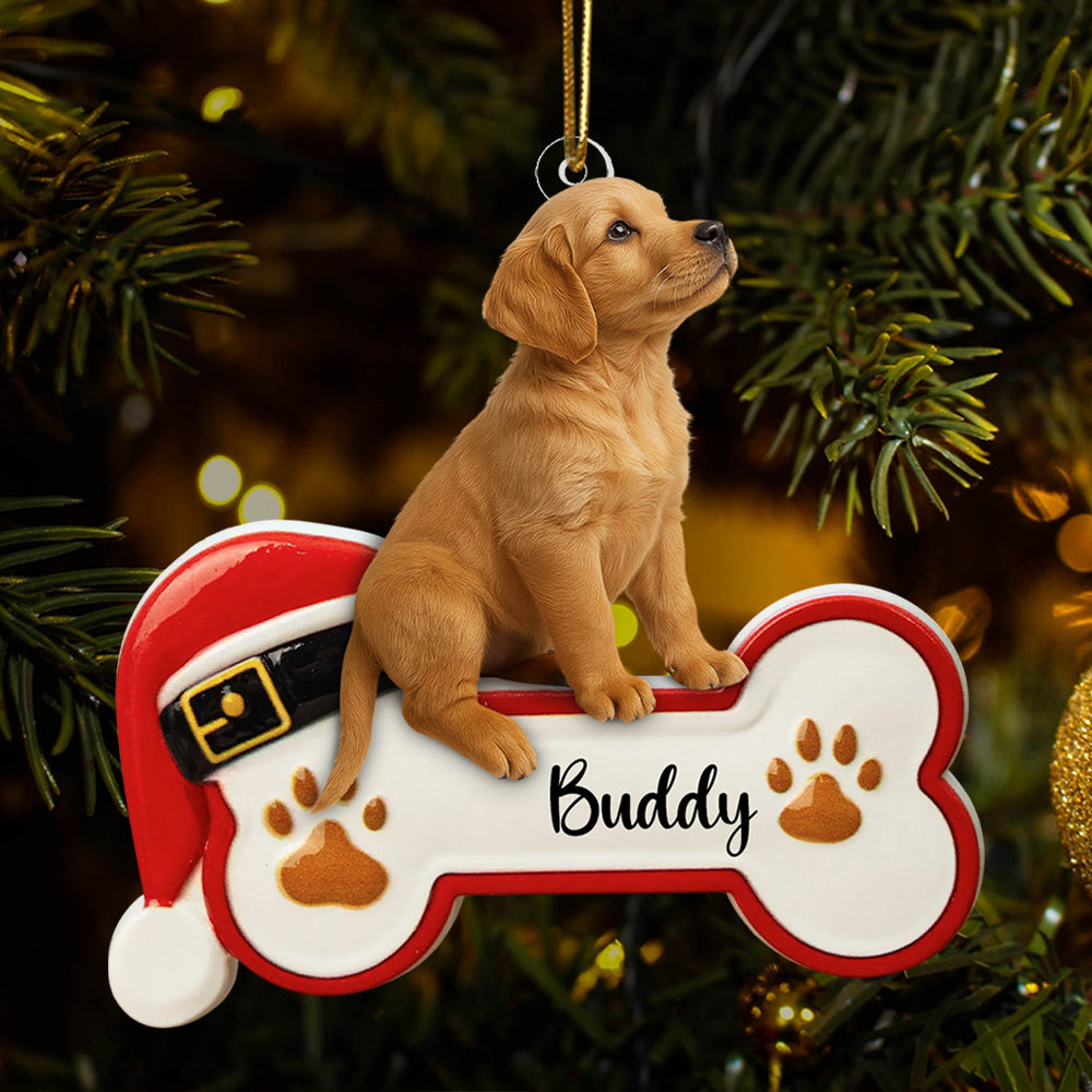 Personalized Dog Sit On A Paw Ornament, Personalized Pet Bone Xmas Decoration, New Puppy Gift 2025, Acrylic Christmas Tree Ornament for Dog Owner, Pet Keepsake