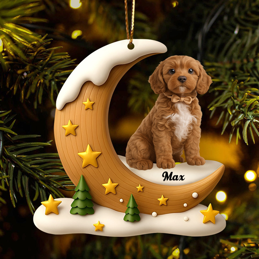 The Brightest Star In The Sky Dog Memorial - Personalized Custom Acrylic Ornament - Gifts For Dog Lovers T1807 Li29