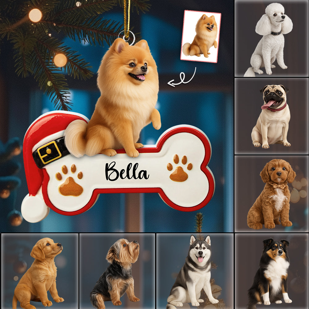 Personalized Dog/ Cat Sit On The Moon Two Sided Ornament For Dog Lovers Hv01