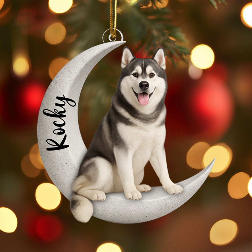Personalized Dog/ Cat Sit On The Moon Two Sided Ornament For Dog Lovers Hv01